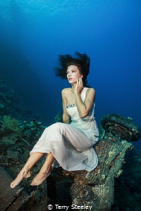 'Lost at Sea.'
— Subal underwater housing, Canon 1Dx, Ca... by Terry Steeley 